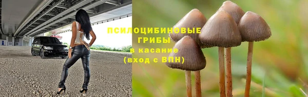 гидра Армянск