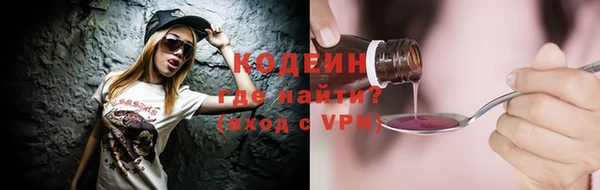 соль ск Вяземский