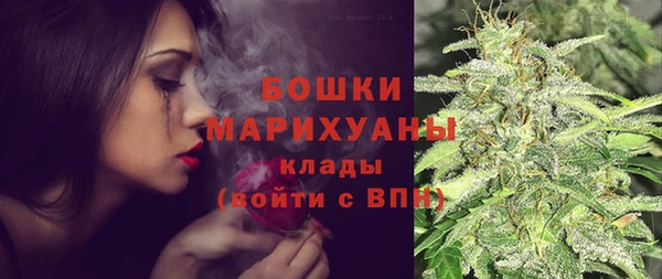 стафф Вязьма