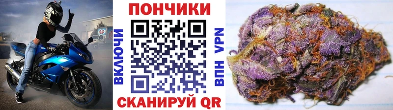 наркотики  Осташков  Конопля конопля 